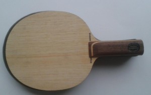 SB Control Vorhand.jpg